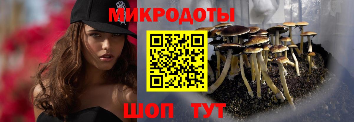 Галлюциногенные грибы мухоморы Амурск